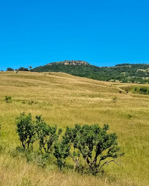 Sudwala Funscapes Adventure Centre